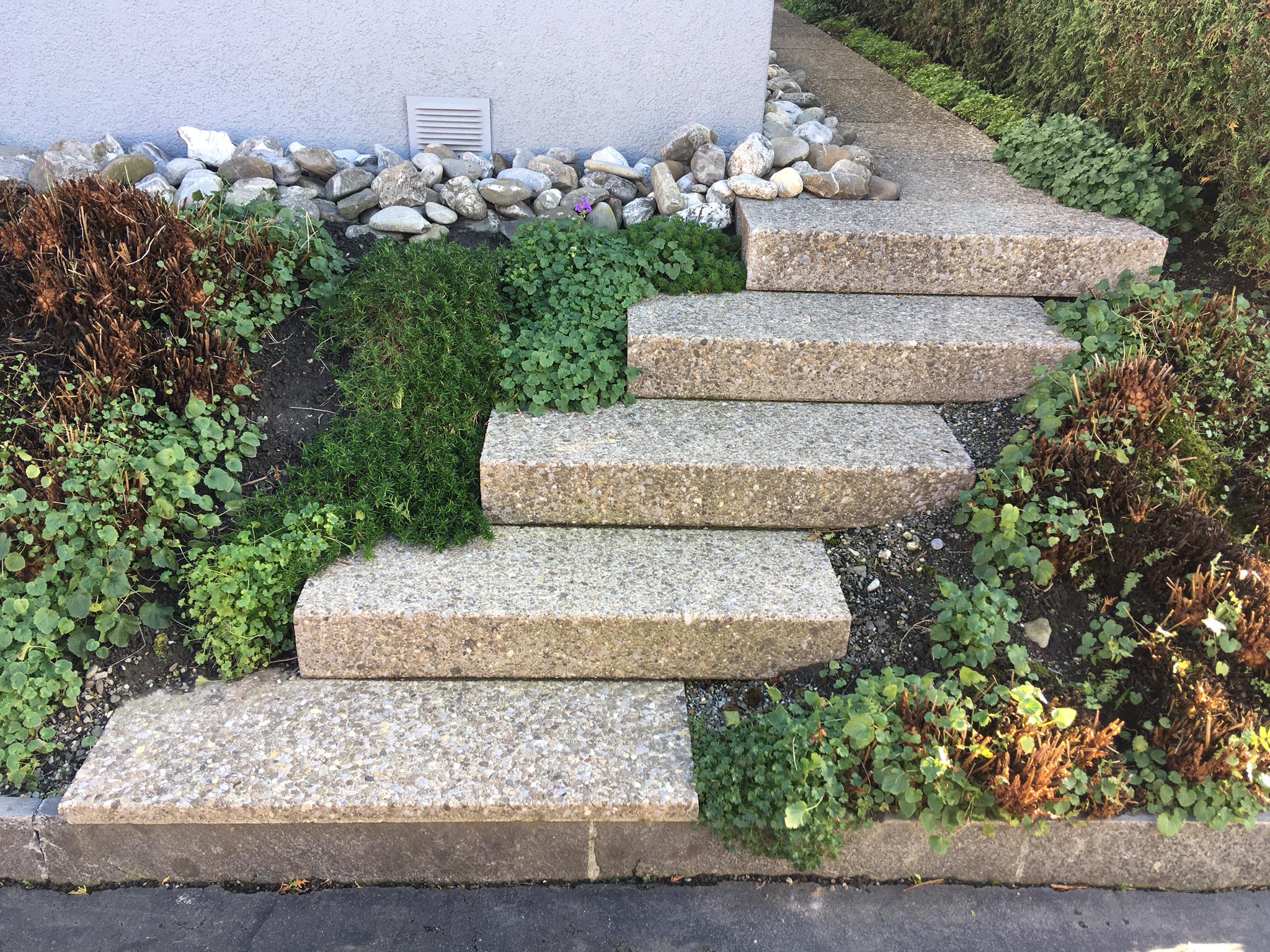 https://www.koster-gs.ch/wp-content/uploads/2021/02/Muentener-Waschbeton-nachher.jpg