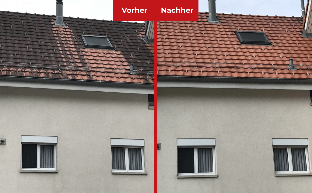 https://www.koster-gs.ch/wp-content/uploads/2021/03/dachbehandlung.png