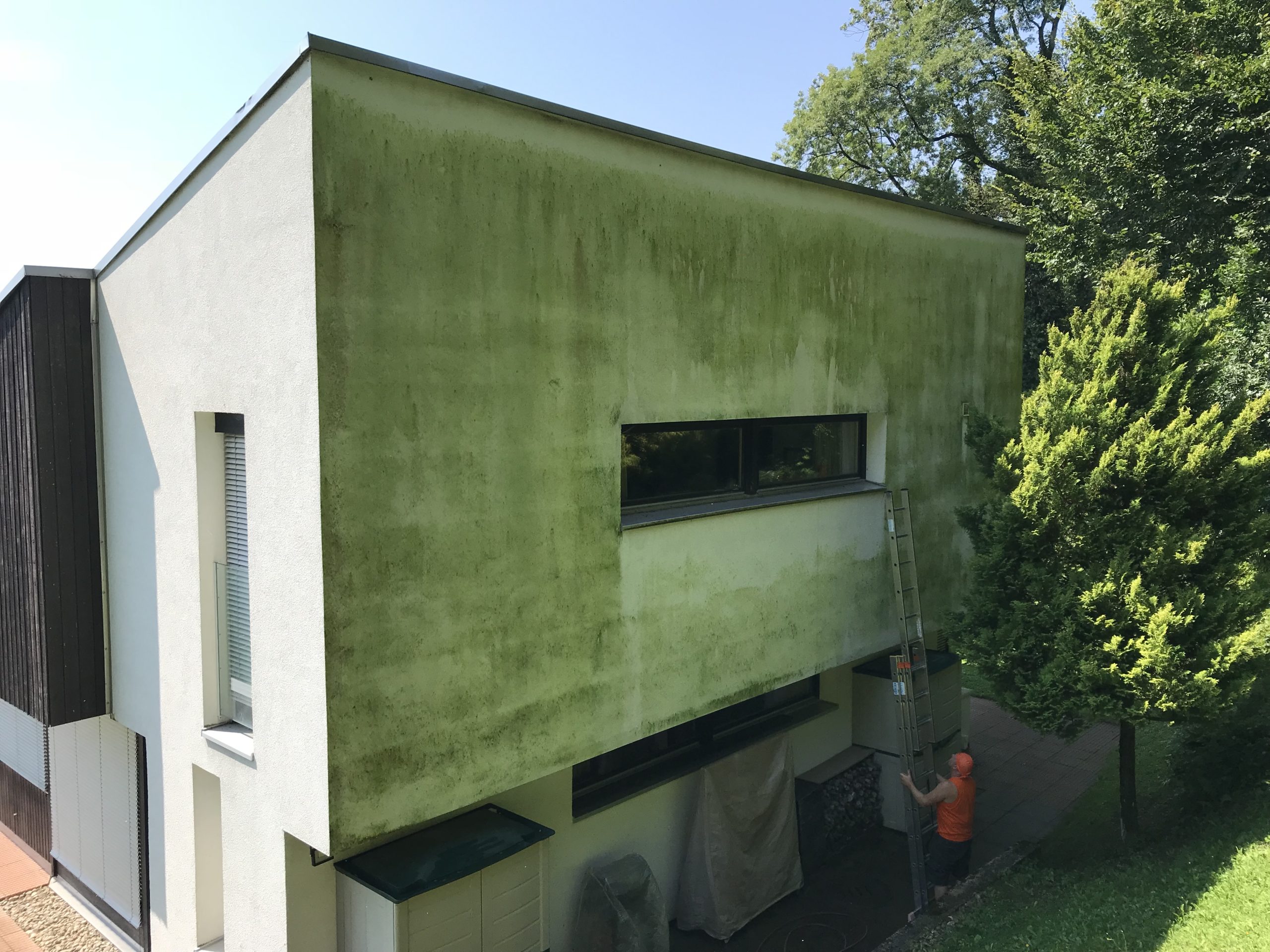 https://www.koster-gs.ch/wp-content/uploads/2021/12/IMG_9853-1-scaled.jpg